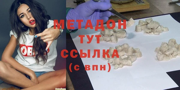 шишки Арсеньев