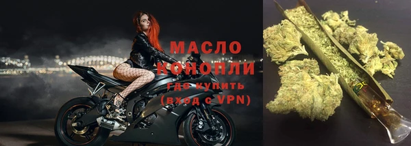 шишки Арсеньев
