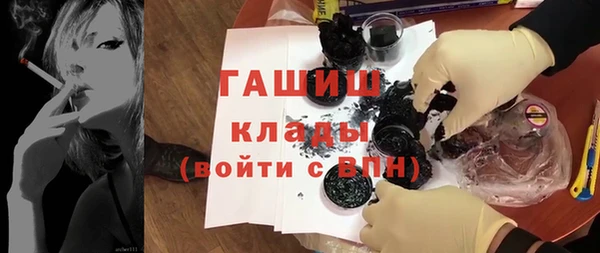 шишки Арсеньев