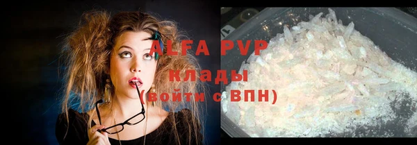 трава Аркадак