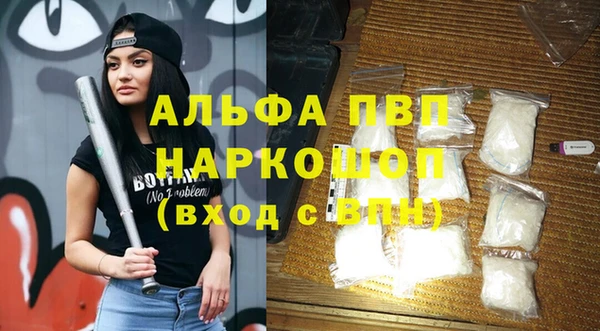 шишки Арсеньев