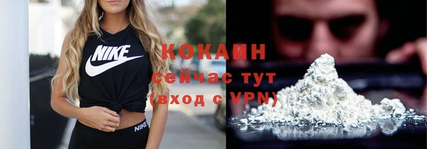 шишки Арсеньев