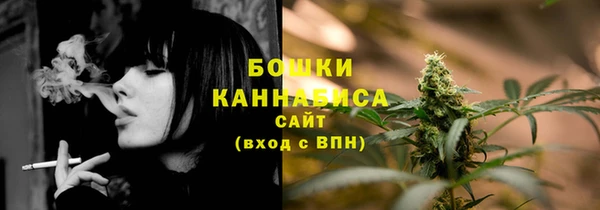шишки Арсеньев