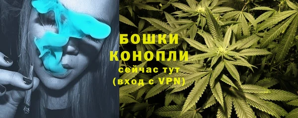 трава Аркадак