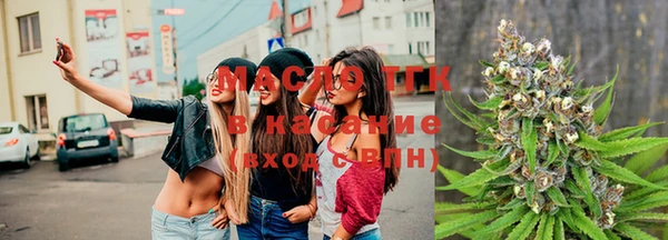 шишки Арсеньев