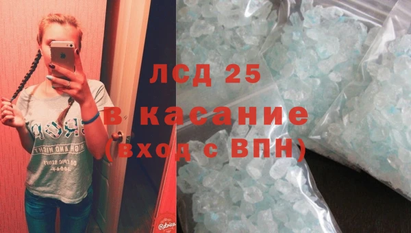 шишки Арсеньев