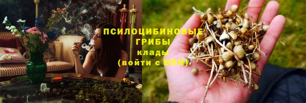 шишки Арсеньев